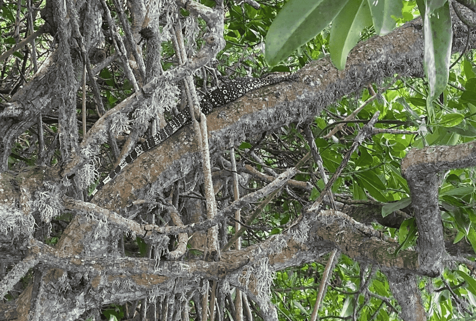 Untitled design (95)