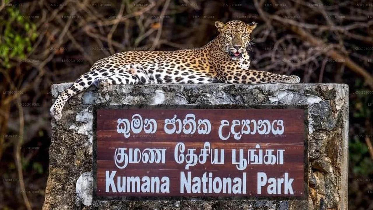 Kumana Full Day Safari